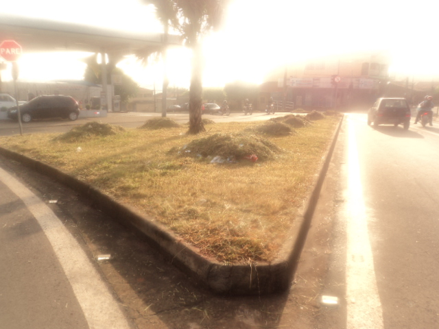 Prefeitura iniciou hoje a limpeza de canteiro entre avenida Antônio Pedroso e rua São Luiz