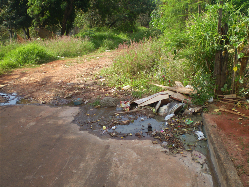 Lixo acumulado, mato alto e água parada preocupam moradores vizinhos