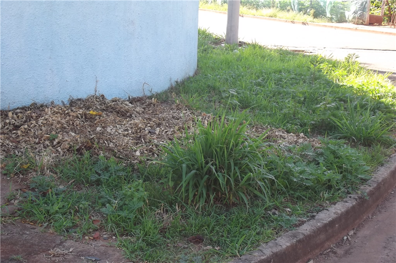 Carlão sugere limpeza e instalação de calçada na rua do Cromo