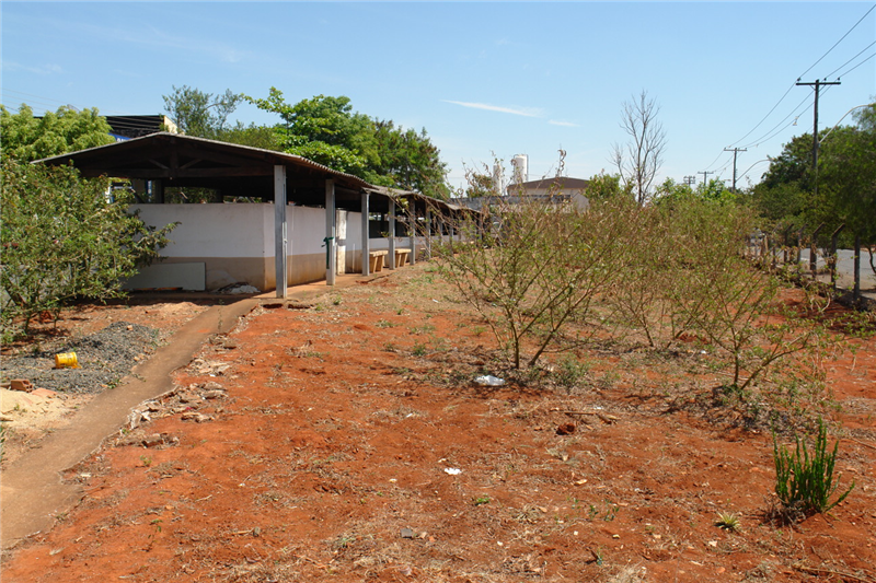 Carlão faz apelo por reforma de campo de malha no Cidade Nova. 