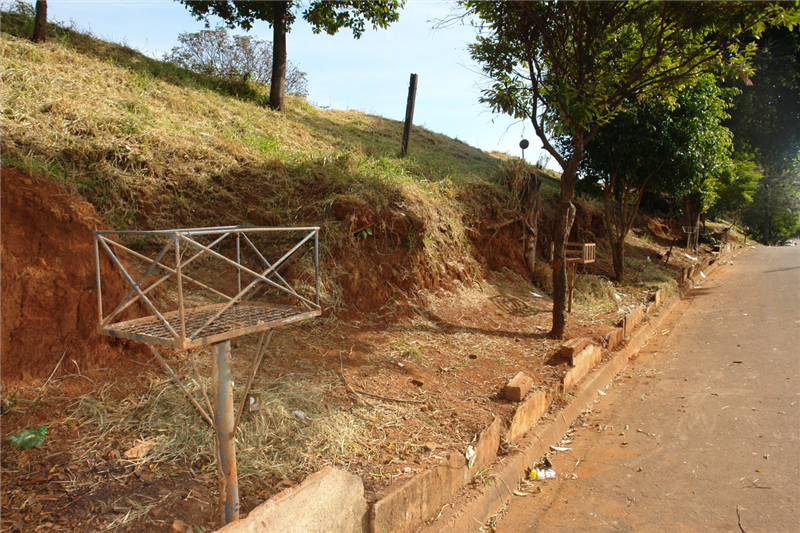 Rua Cabreúva passou por limpeza e poda.