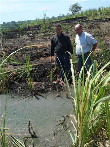 Vereadores flagraram descarte irregular de resíduos químicos em propriedade rural do Santo Antônio do Sapezeiro