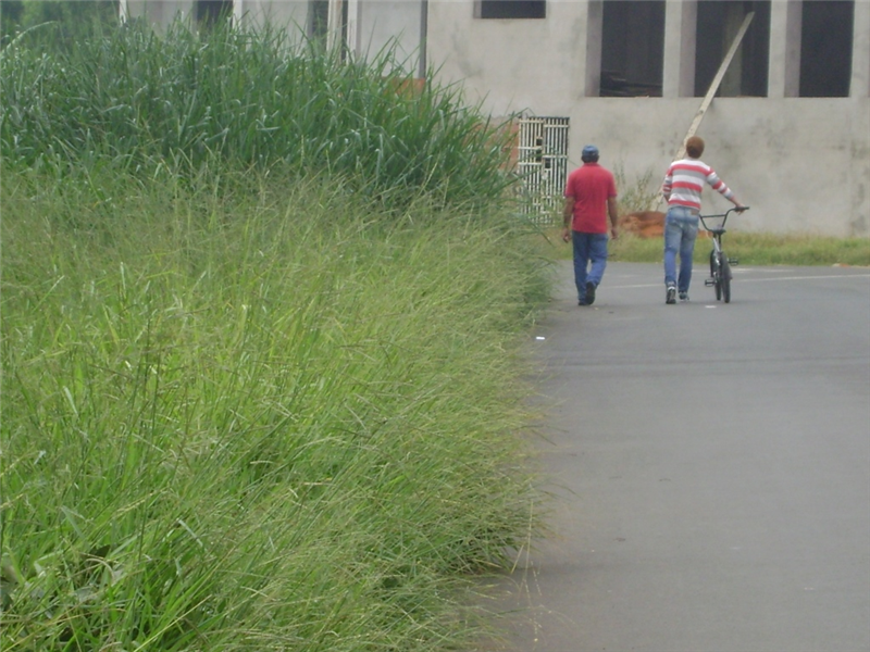 Área verde da rua Luiz Antonio Fornazzin, no bairro Dona Regina.