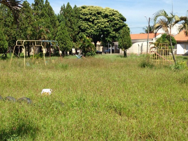Mato alto afasta crianças de parquinho no Jardim Pérola