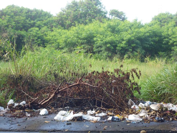 Vereadores cobram limpeza de área pública no São Francisco